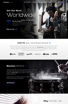 music website design portfolio 16