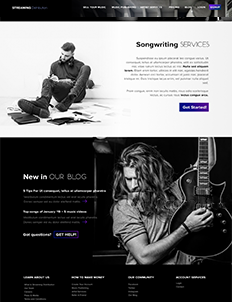 music website design portfolio 17