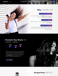 music website design portfolio 18